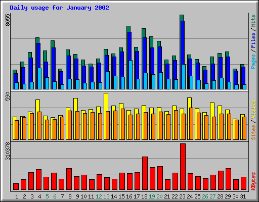 Daily usage for January 2002