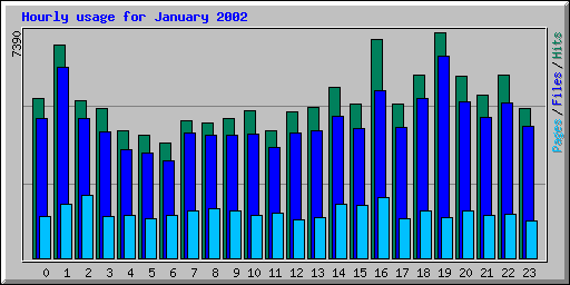 Hourly usage for January 2002