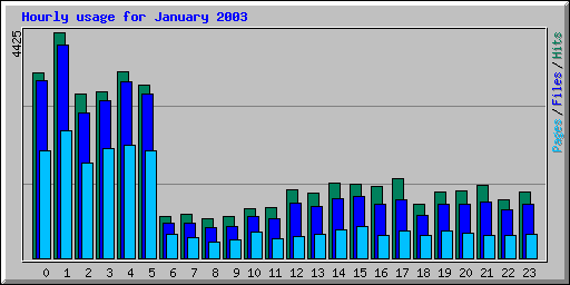 Hourly usage for January 2003