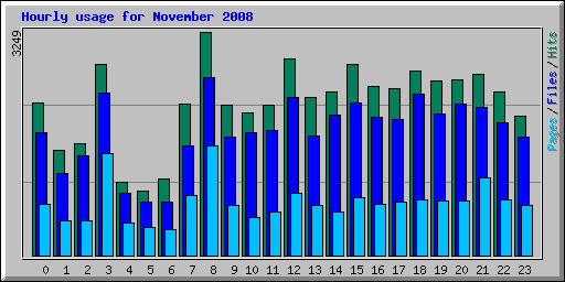 Hourly usage for November 2008