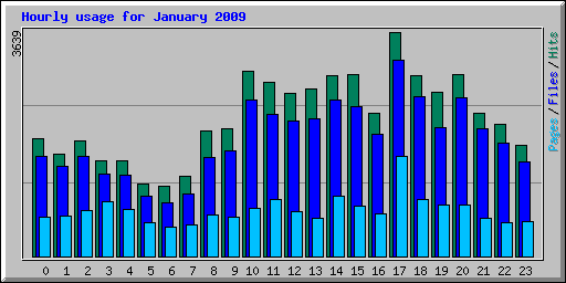 Hourly usage for January 2009