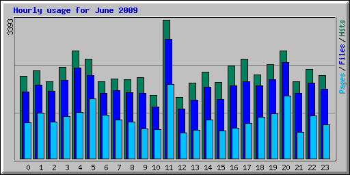 Hourly usage for June 2009