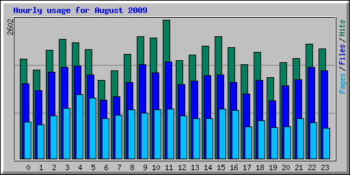 Hourly usage for August 2009